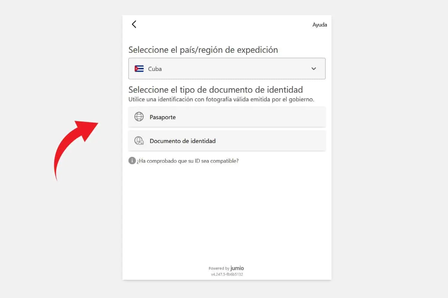 seleccionar tipo de documento para verificar